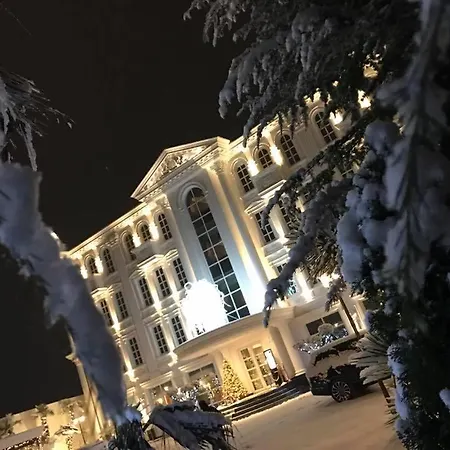 Отель Britania *